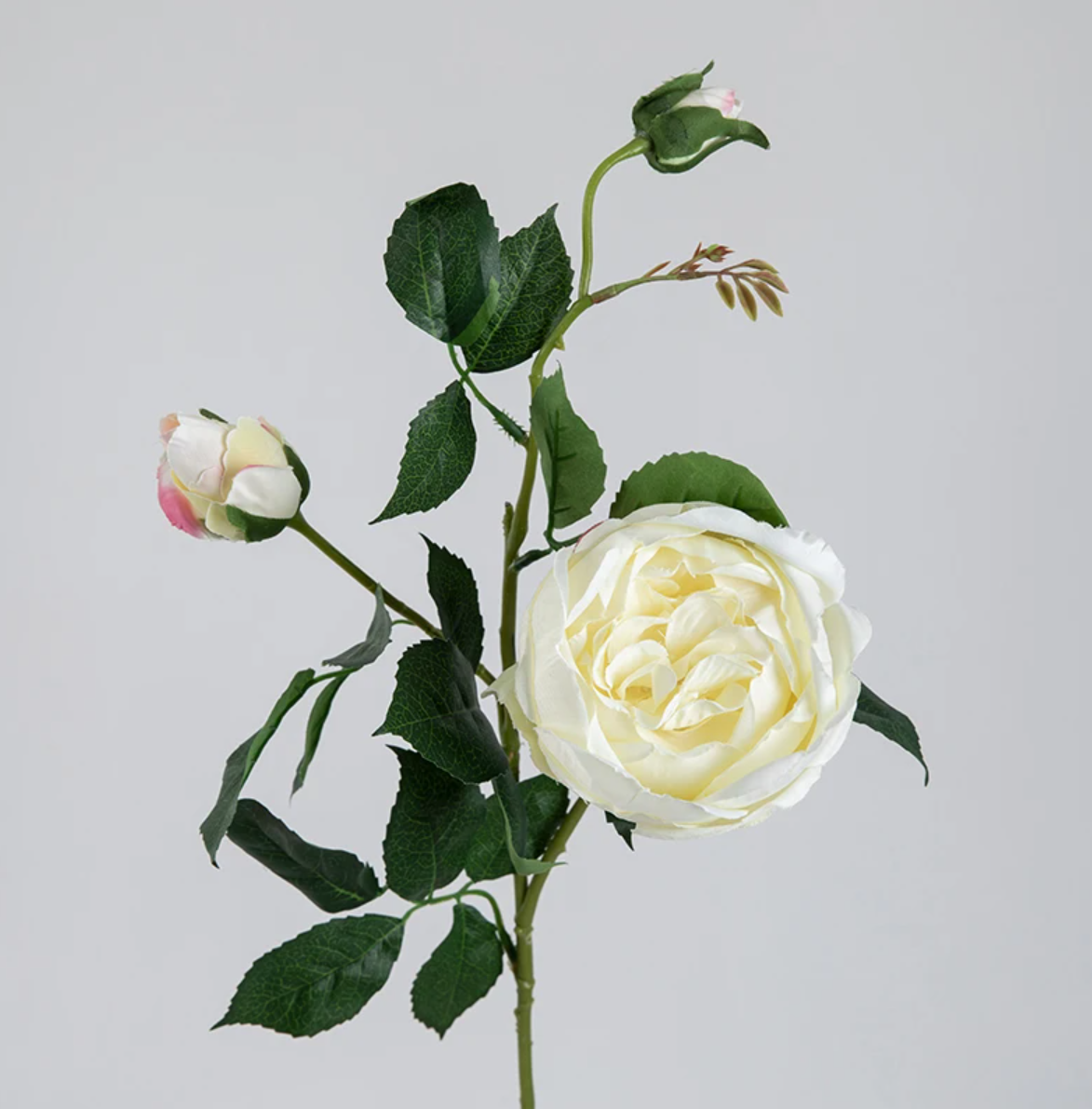 Гілка піоновидної троянди 73 см - айворі