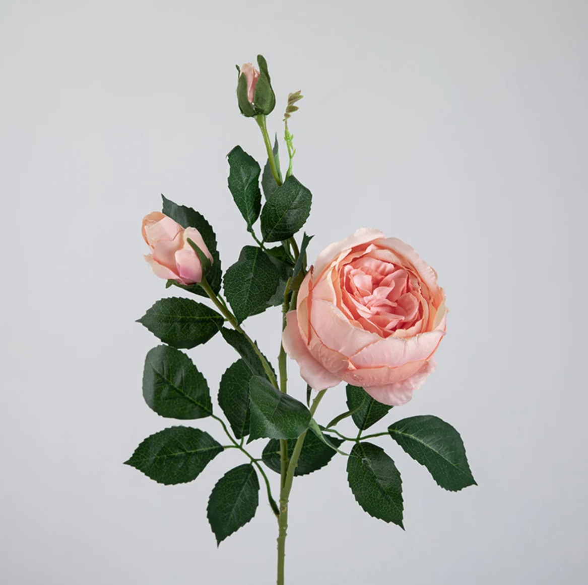 Гілка піоновидної троянди 73 см - персикова