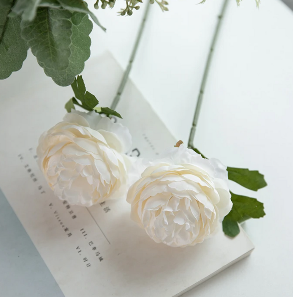 Піоновидна троянда 29 см - біла