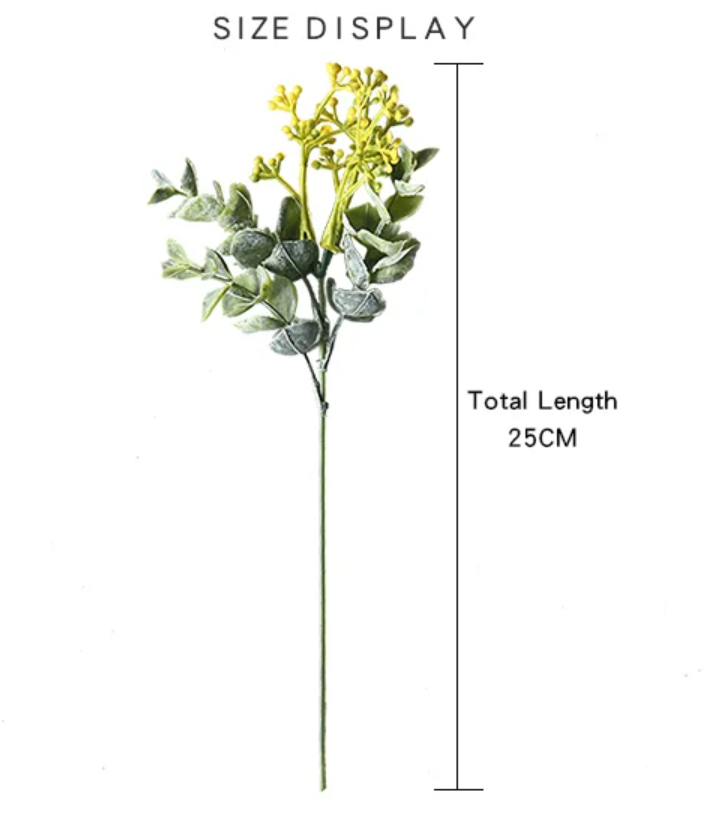 Гілка евкаліпту з цвітом - жовта