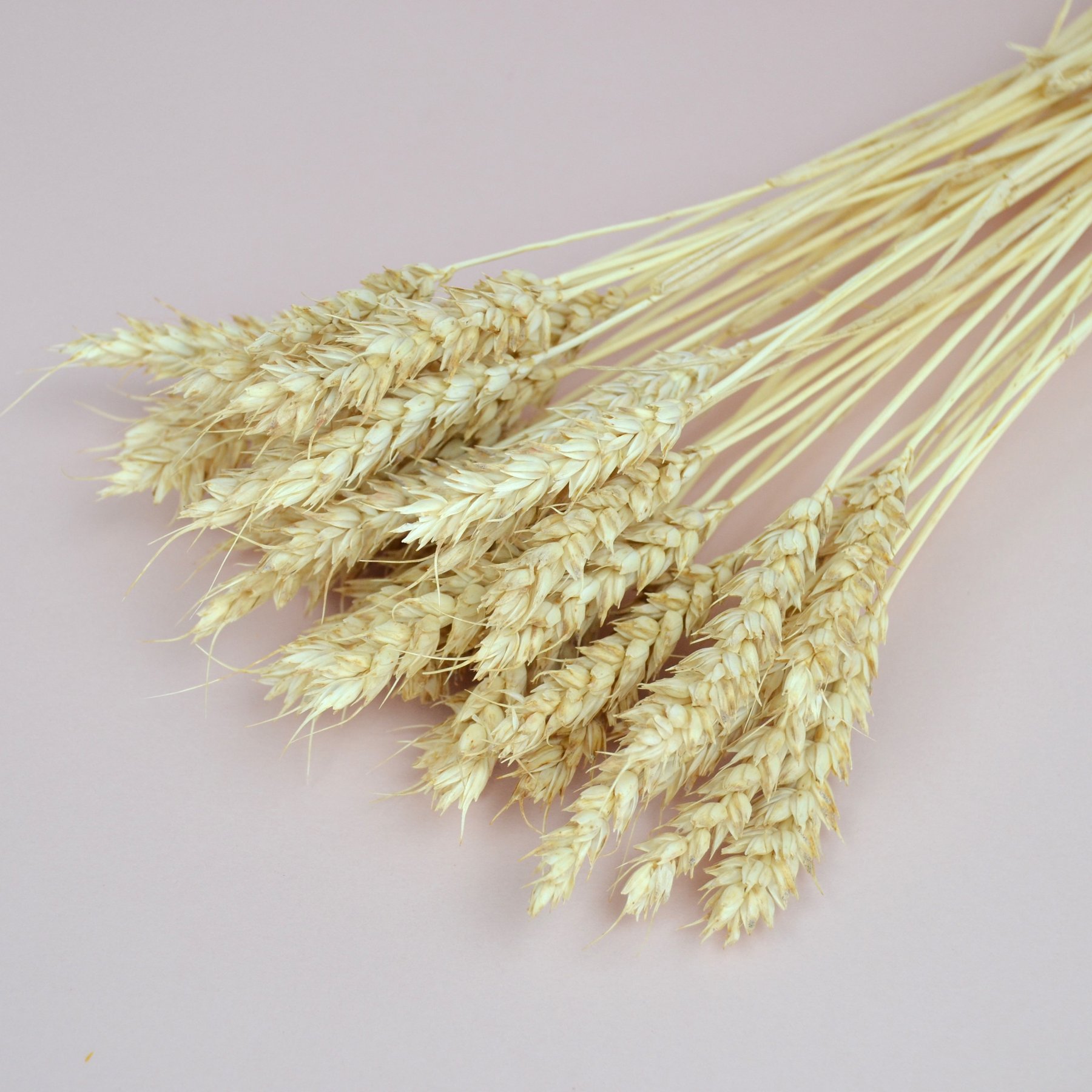 Пшениця натуральна - висвітлена