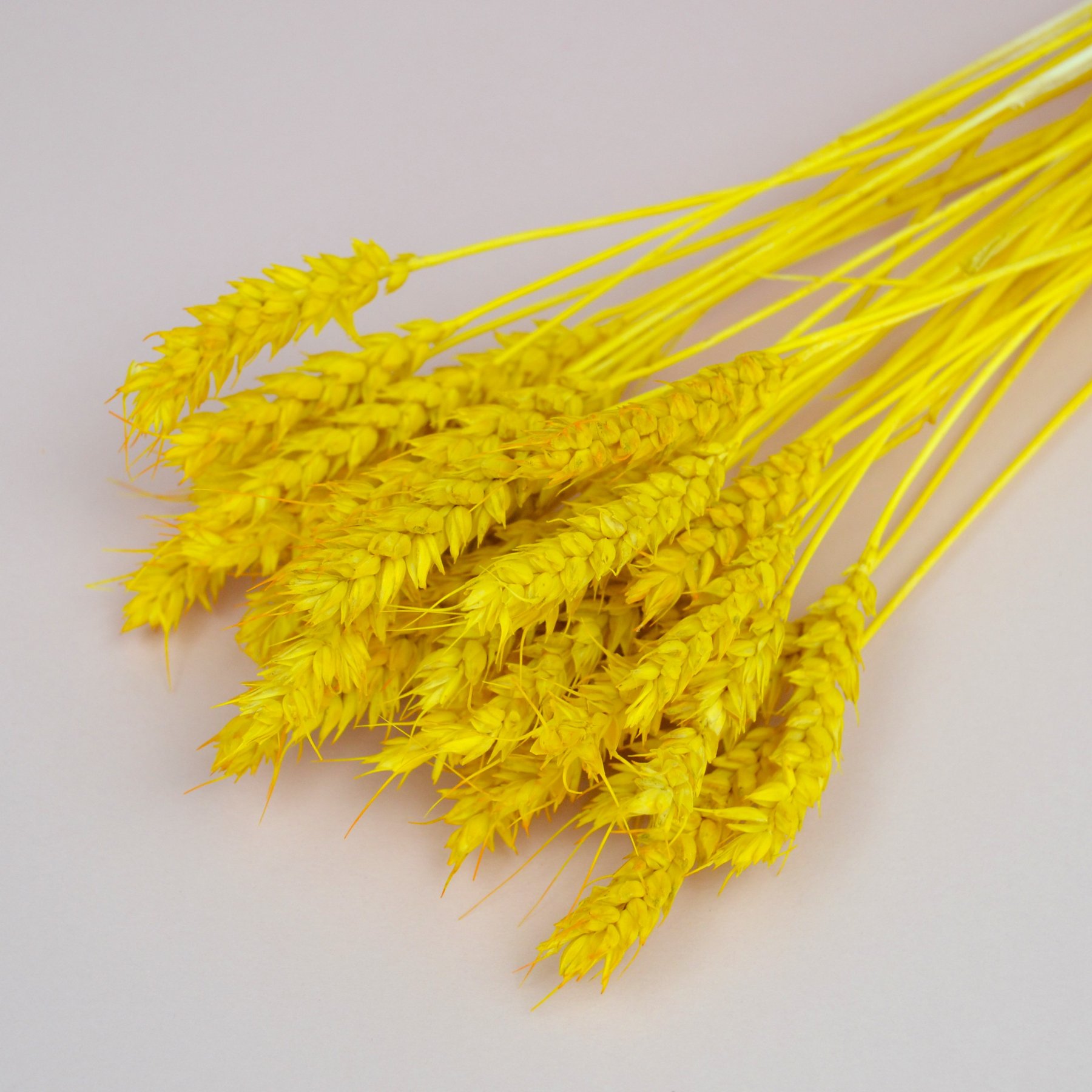 Пшениця натуральна - фарбована жовта