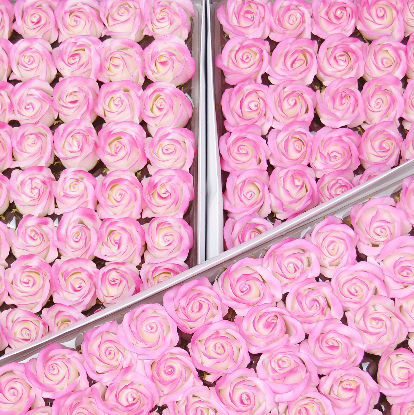 Троянда з мила - SPRAY-6 рожева/айворі