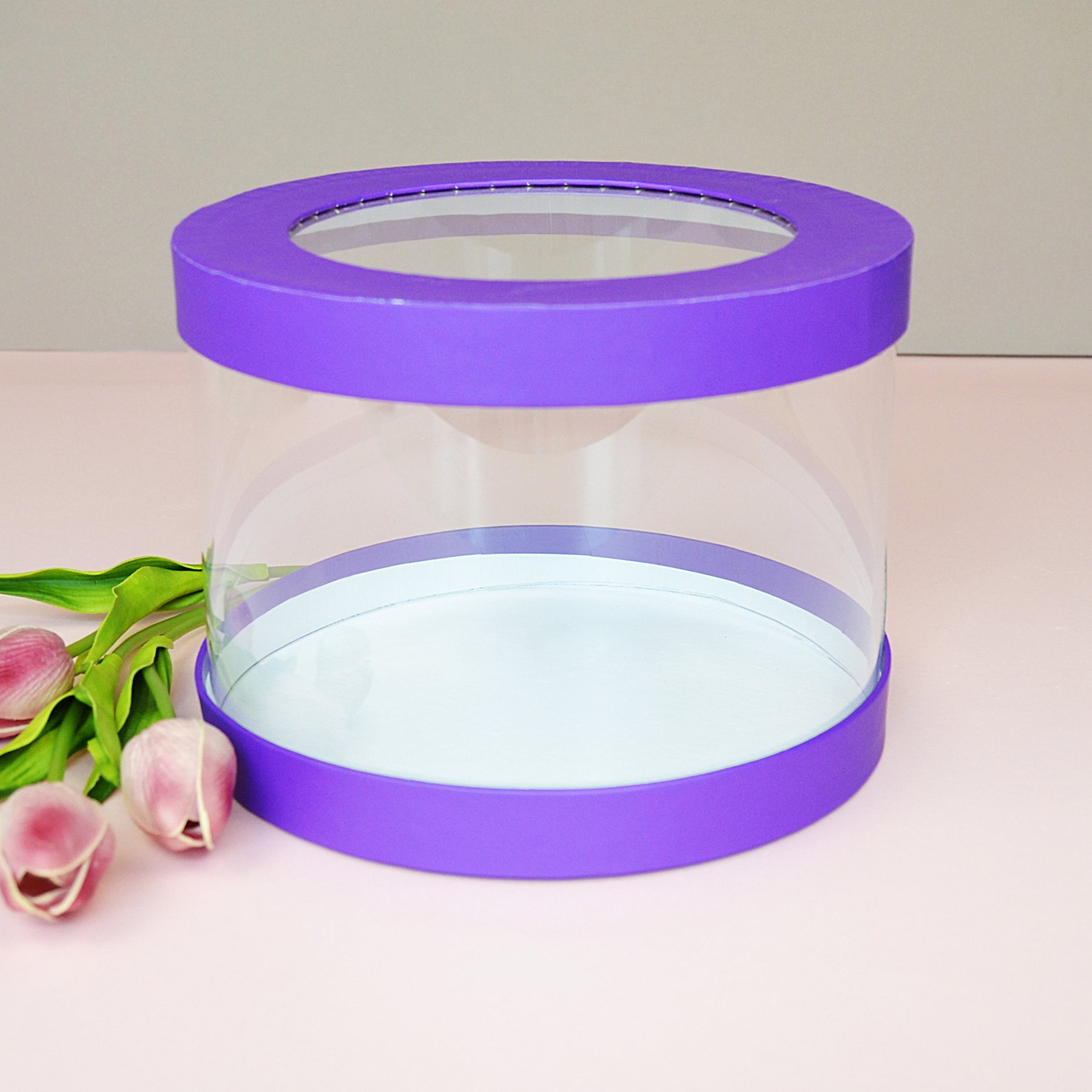 Прозора коробка - акваріум низька - фіолетовий