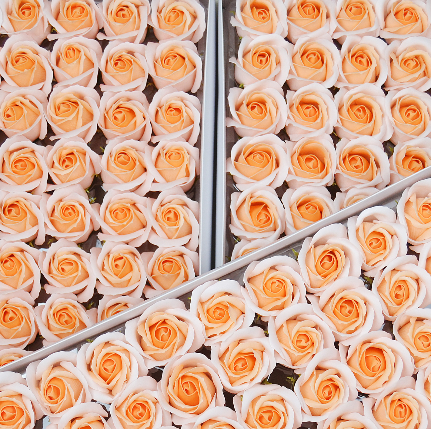 Набір мильних троянд - DUO-4 персиковий