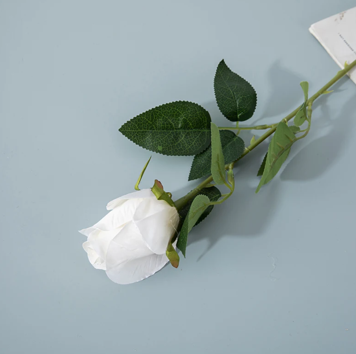 Троянда, нерозкритий бутон 63 см - біла