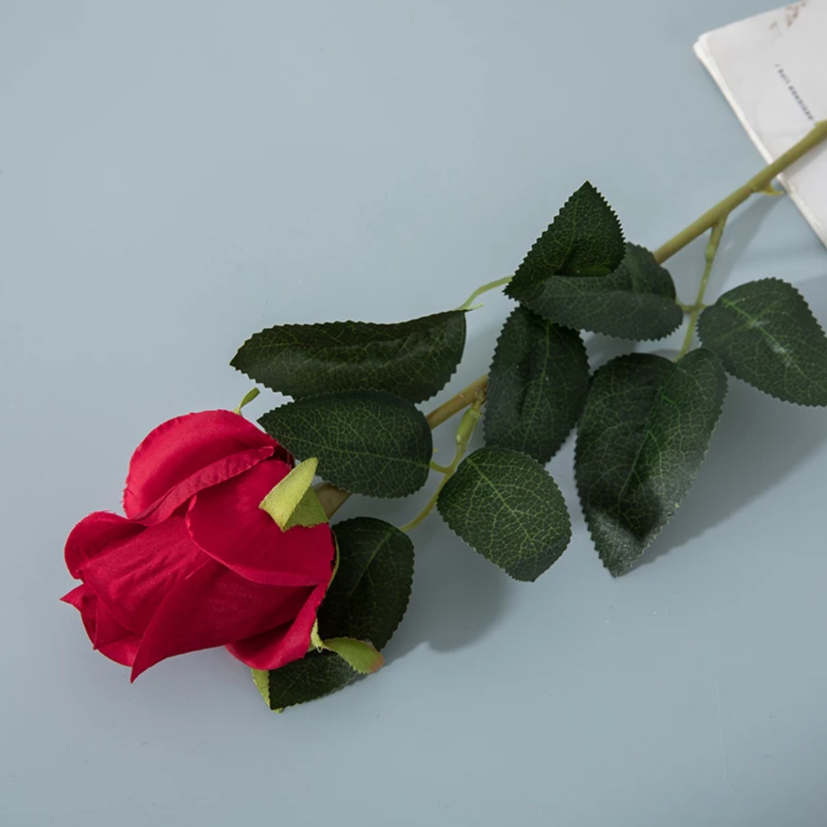 Троянда, нерозкритий бутон 63 см - червона
