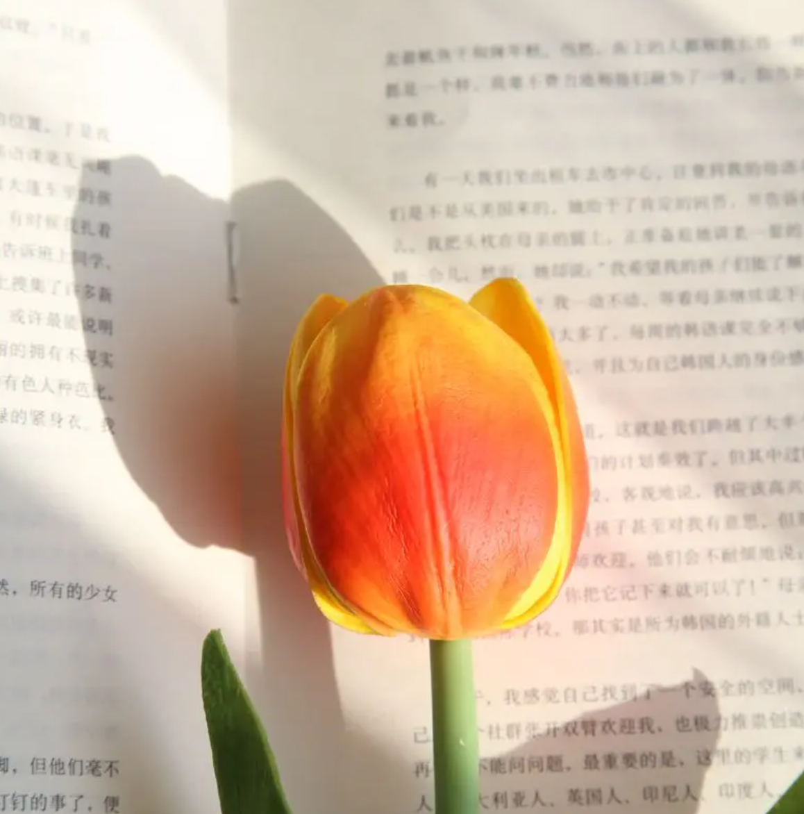 Тюльпан 50,5 см - оранжевий