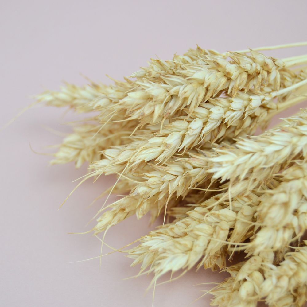 Пшениця натуральна - висвітлена
