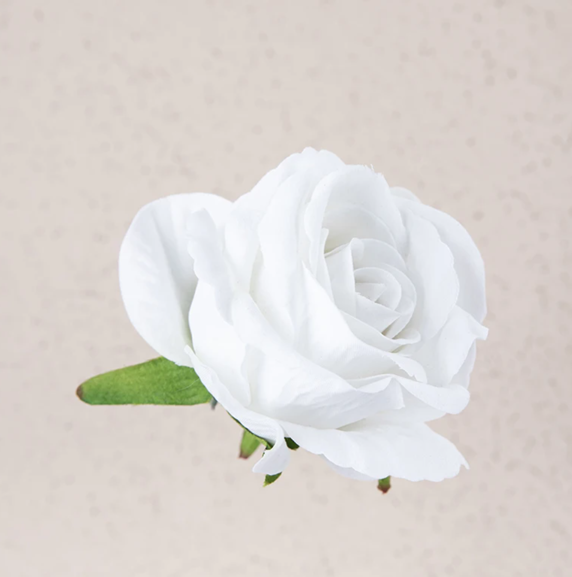 Головка троянди 8 см х 5,5 см - біла