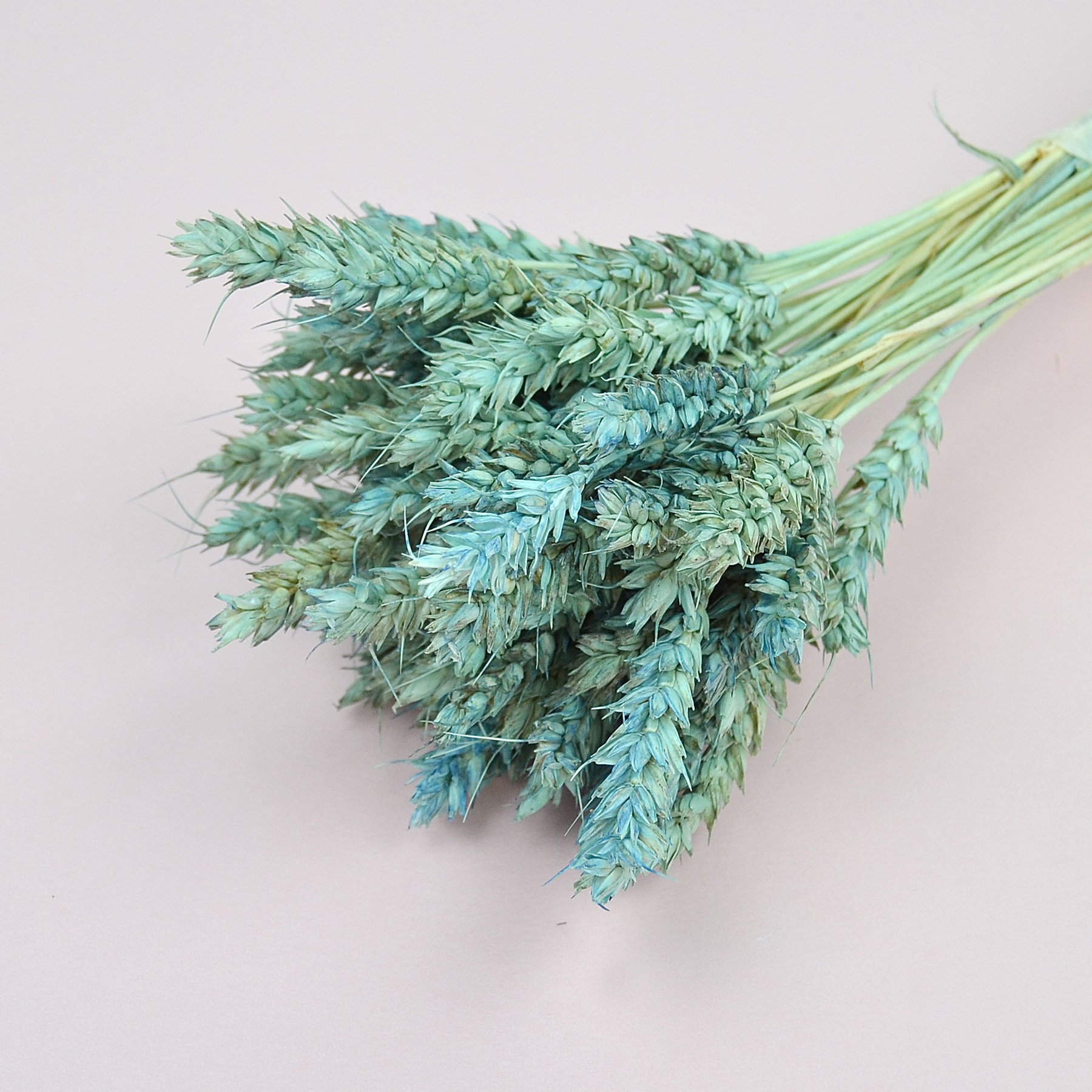 Пшениця натуральна фарбована, мʼятно-блакитна
