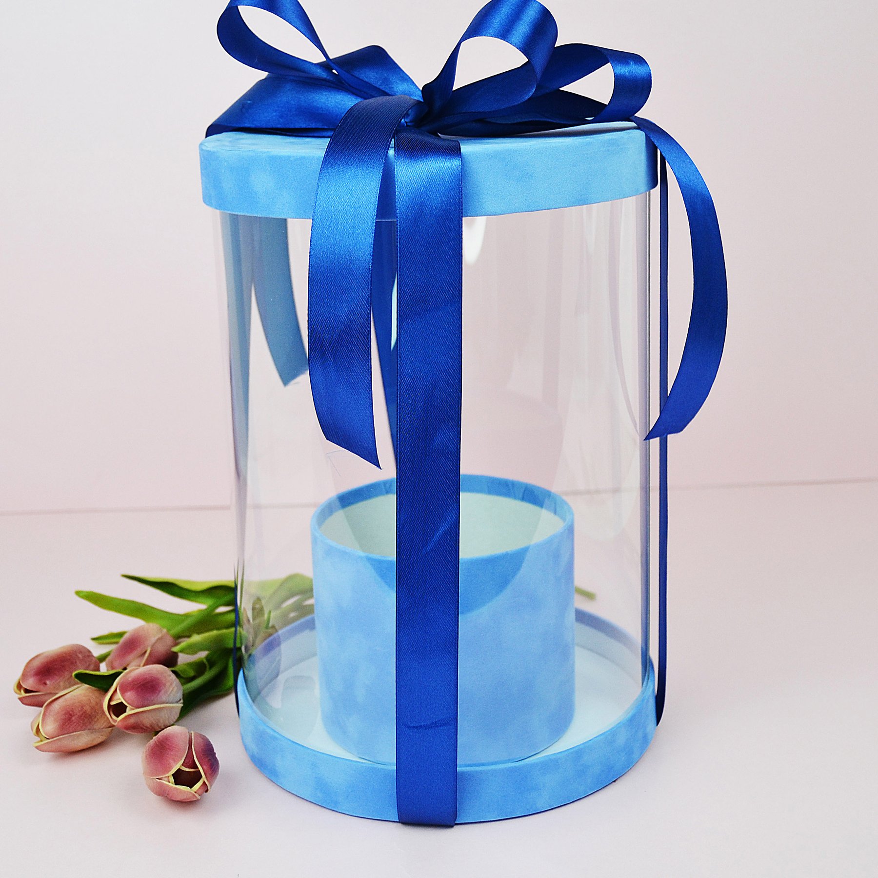 Прозора коробка - акваріум оксамитова блакитна